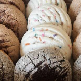 Various Conchas