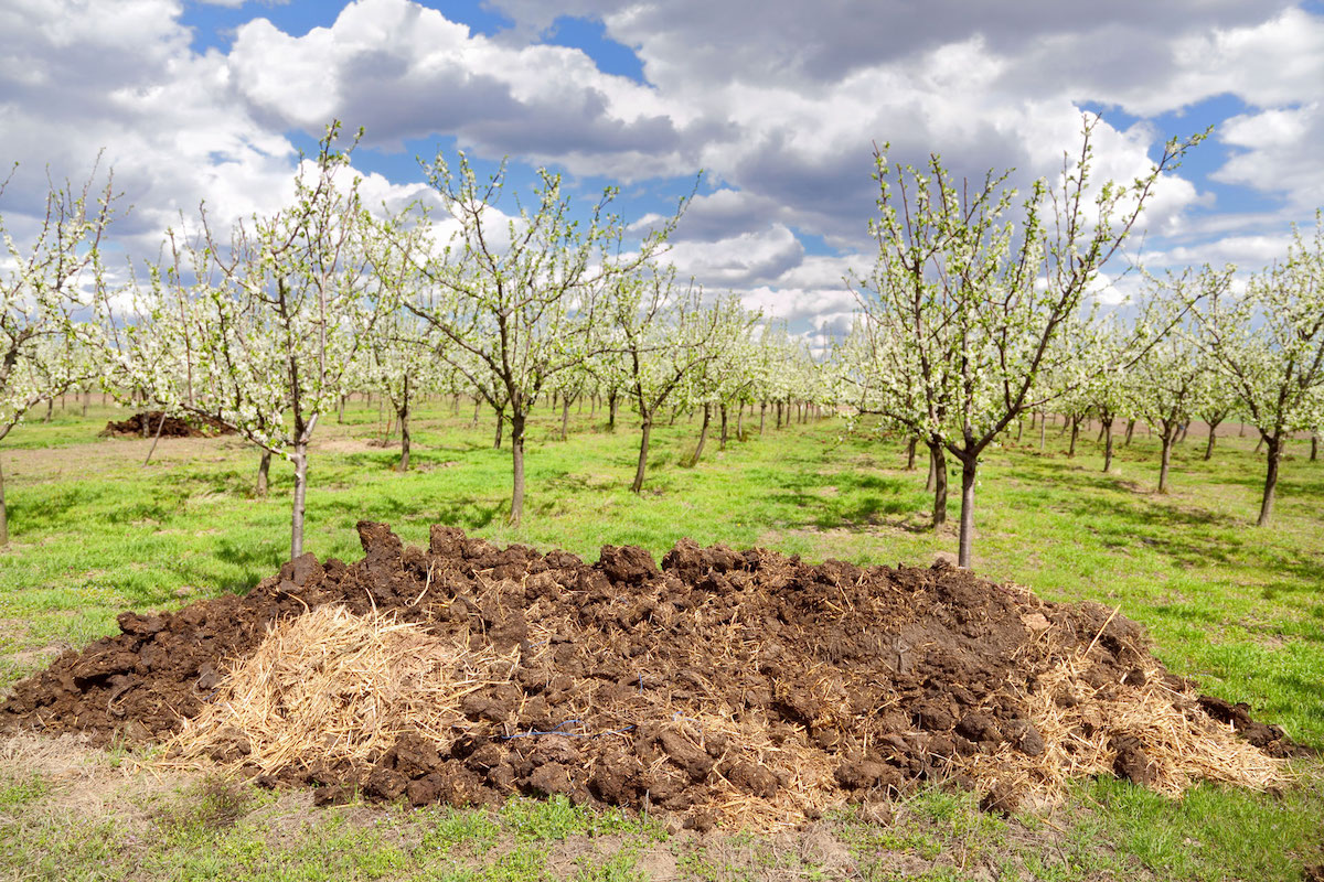 Urban Edge Compost Manure