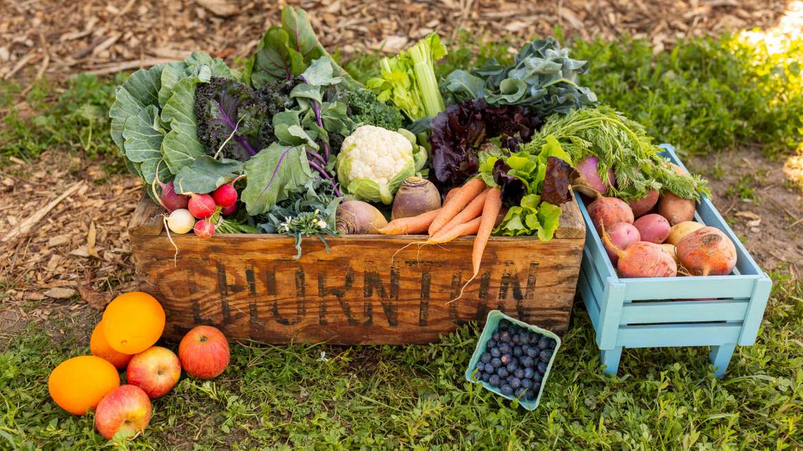 Urban Edge Farm Newsletter — May 2025 Edition
