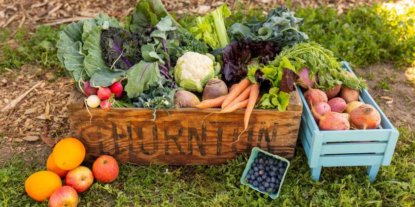 Urban Edge Farm Newsletter — May 2025 Edition