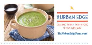 Cream of Zucchini Soup Cream of Zucchini Soup