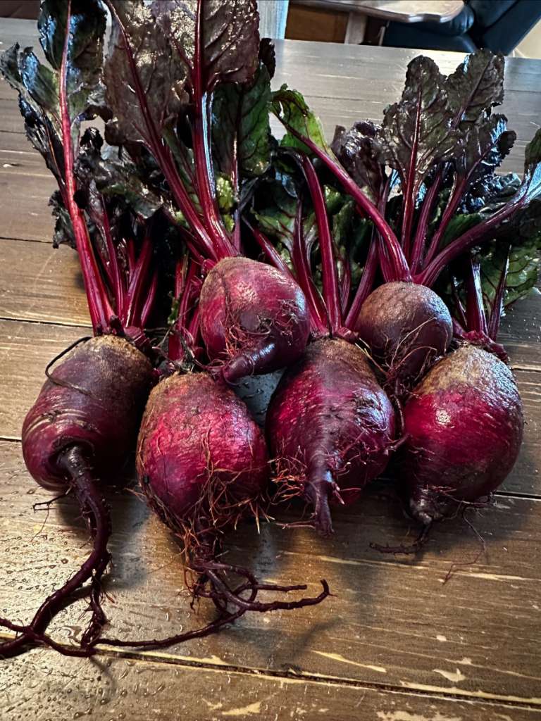 Hurry in! Fresh picked organic beets will be available as soon as we reopen. Don't miss out!