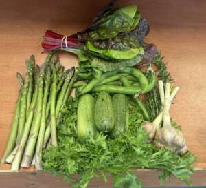 Various Greens from The Urban Edge Farm