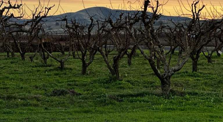 Welcoming January at The Urban Edge Farm